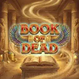 Book of Dead gra w IWild Casino dla graczy z Polski