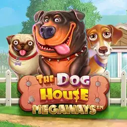 The Dog House Megaways gra w IWild Casino dla graczy z Polski