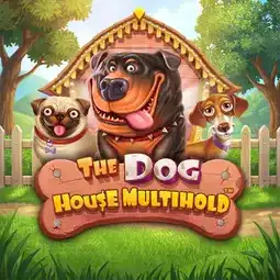 The Dog House Multihold gra w IWild Casino dla graczy z Polski